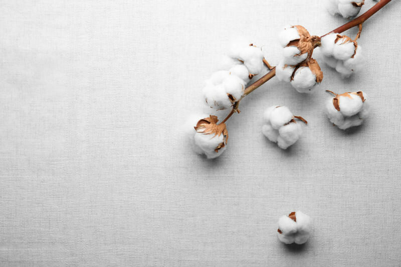 AdobeStock 192114655